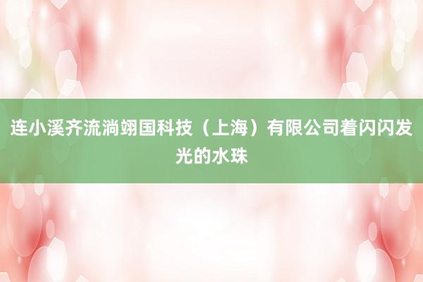 连小溪齐流淌翊国科技（上海）有限公司着闪闪发光的水珠